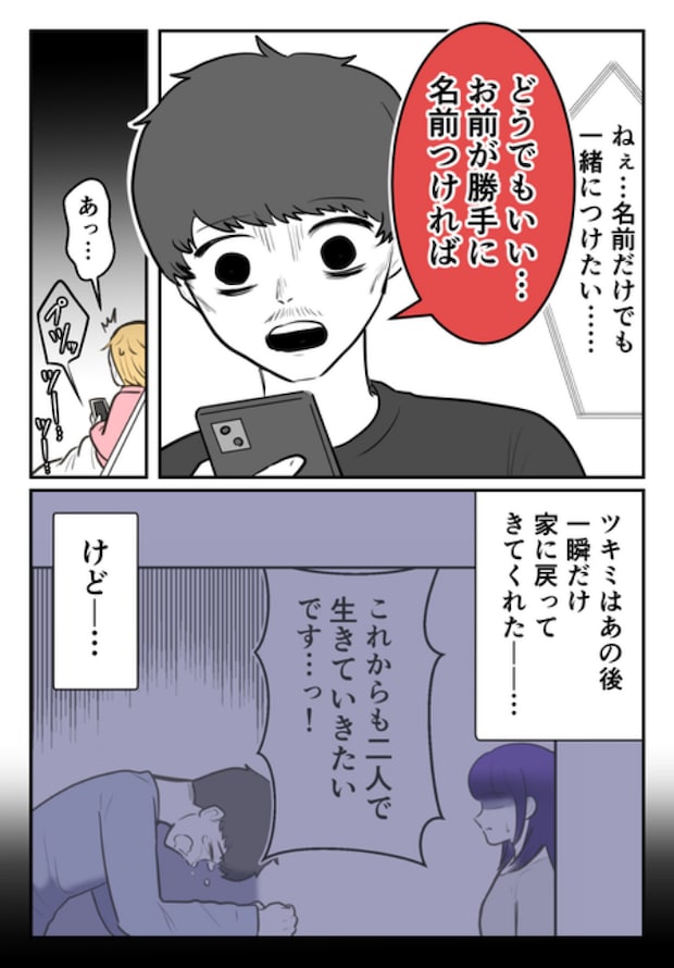 DINKS〜妻が子どもを欲しがらない〜／尾持トモ