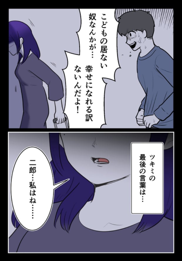 DINKS〜妻が子どもを欲しがらない〜／尾持トモ