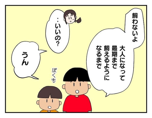 飼えなくなった猫を押し付けるママ友