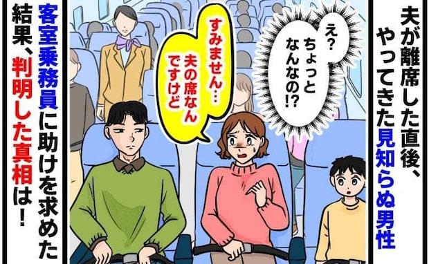 「夫の席ですが…」機内で突然私の隣に座る男性→CAがチケット提示を求めても拒否！？判明した真相は
