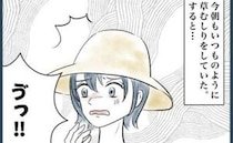 「誰のよーっ！」大切に手入れした花壇に何者かのフン…→その犯人とは！＜ウチの庭はトイレじゃない＞