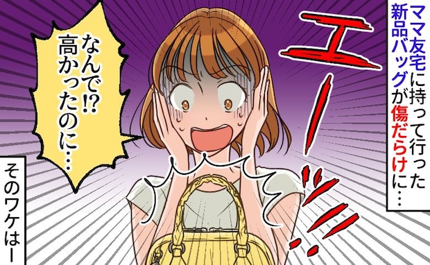 「本当にごめん、弁償する！」友人宅のソファに買ったばかりのバッグを置いたらボロボロに…一体なぜ？