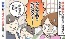 祖父母の家へ泊まりに行くと「うっ、クサイ！何！？」押し入れを開けて思わずゾッ！悪臭の正体は…