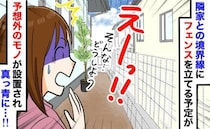 「えっ、ウチの敷地に…！？」新居のフェンスを後回しにした結果、境界線に現れた“予想外のモノ”とは