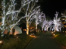 グランピングリゾート「ブリリアントヴィレッジ日光」3周年記念特別イベント開催！冬の日光を彩るイルミネーションや特別メニューを2025年11月29日より提供