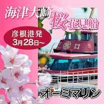 春爛漫！海津大崎で優雅な桜お花見クルーズが楽しめます