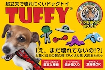 高耐久ドッグトイ「Tuffy」日本販売開始と新オンラインストア「COCOR PET 楽天市場店」開店記念