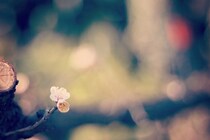 【ファーストシューズ】安全な選び方！！