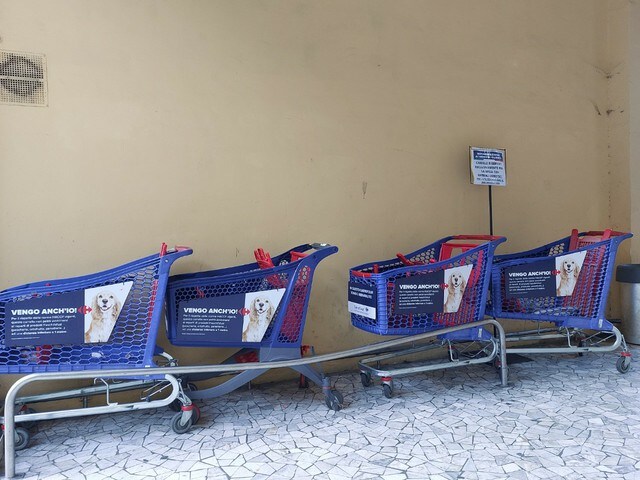 犬同伴で入店ができるイタリアのスーパー！衛生面は大丈夫？【イタリア】