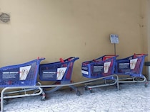 犬同伴で入店ができるイタリアのスーパー！衛生面は大丈夫？【イタリア】