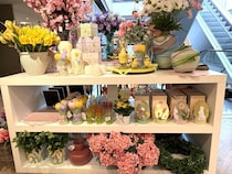 パスクア一色のディスプレイが可愛すぎる！【イタリア】