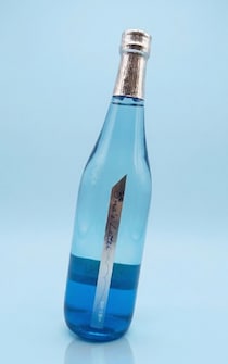 渋谷と秋田、ハチ公ゆかりの地が絆を深める2日間「WE LOVE HACHI 2026」開催