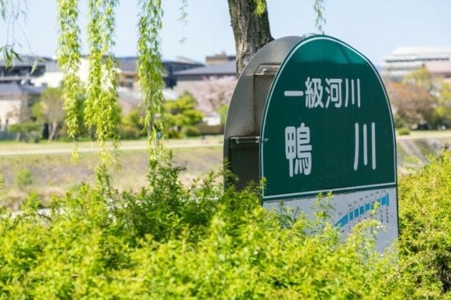 京都の夏の観光スポット5選！涼しい川床・避暑地も紹介