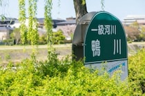 京都の夏の観光スポット5選！涼しい川床・避暑地も紹介