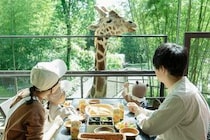 グランピング施設「THE BAMBOO FOREST」で「キリンと朝食」オプションが再開！夏限定流しそうめんや地元食材BBQも