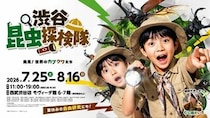 渋谷で世界のカブクワに触れる！小学生向け昆虫イベント「渋谷昆虫探検隊」開催
