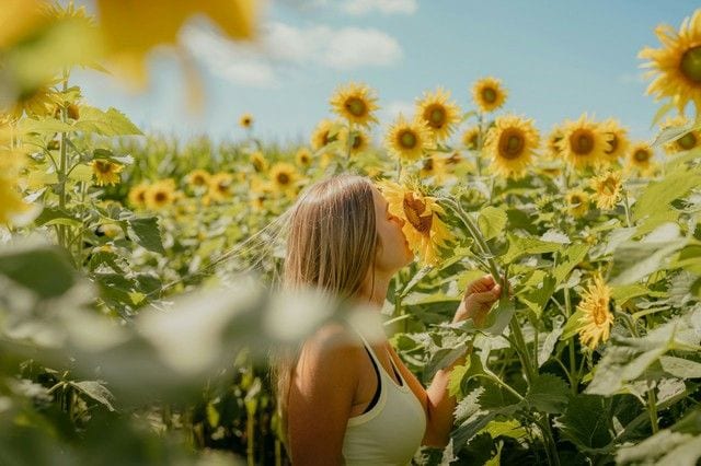 夏の思い出づくりに!やってみたいことリスト