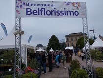 フランスの初夏は植物がいっぱい【フランス】