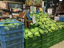 群馬の直売所「上州・村の駅」で8月限定イベント「キャベツパニック」開催