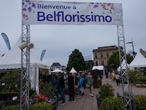 フランスの初夏は植物がいっぱい【フランス】