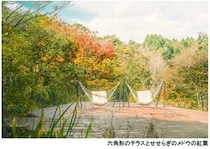 六甲山のSIKIガーデンで秋の彩りを楽しむ「SIKIガーデンAutumn Season」開催