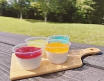 東名足柄SA上りで爽やかな夏を彩る『彩りパンナコッタ』販売開始