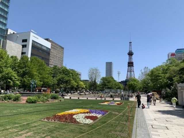 定年後に行く夏の北海道旅行体験談!無理をしないコース