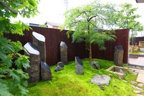 【庭実例】和と洋、二つの庭が共演する住まい──眺めて癒やし、出て楽しむ贅沢空間