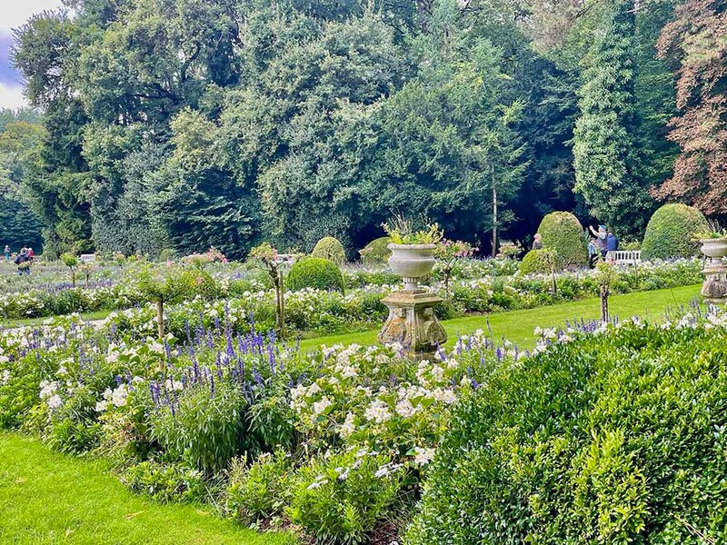 カトリーヌの庭