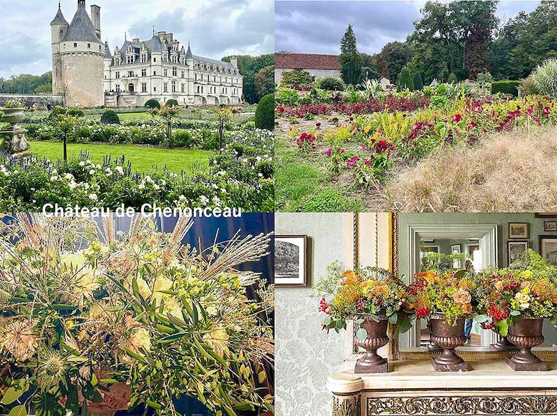 【一度は行きたい】花好きも魅了するフランス「シュノンソー城」王妃たちの庭園を巡る旅