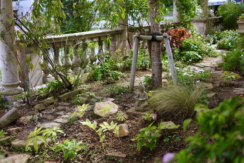 クリスマスローズの庭