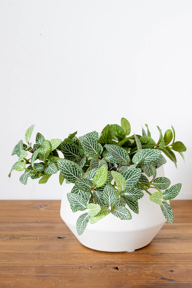 フェイクグリーン