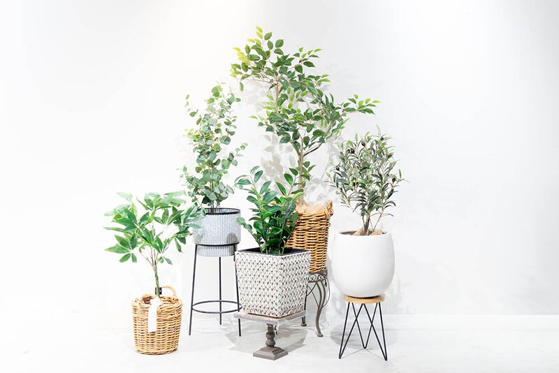 フェイクグリーン