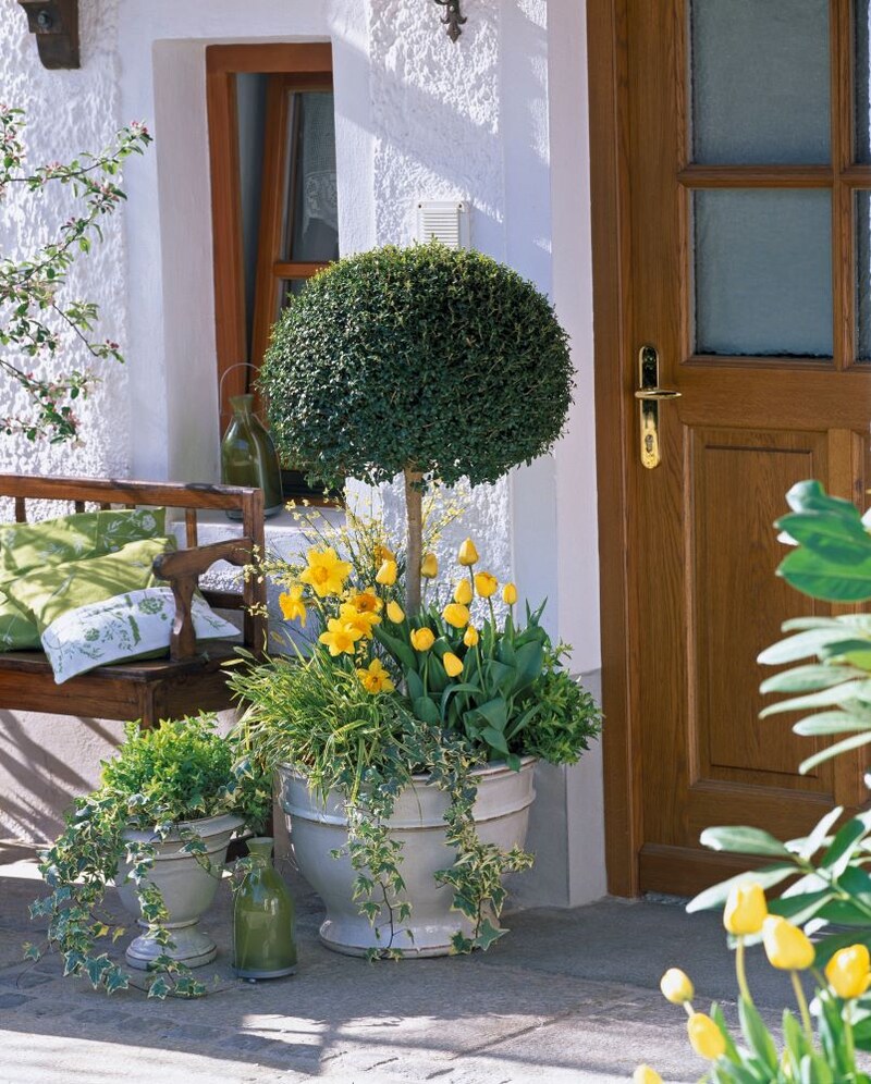 アプローチガーデン