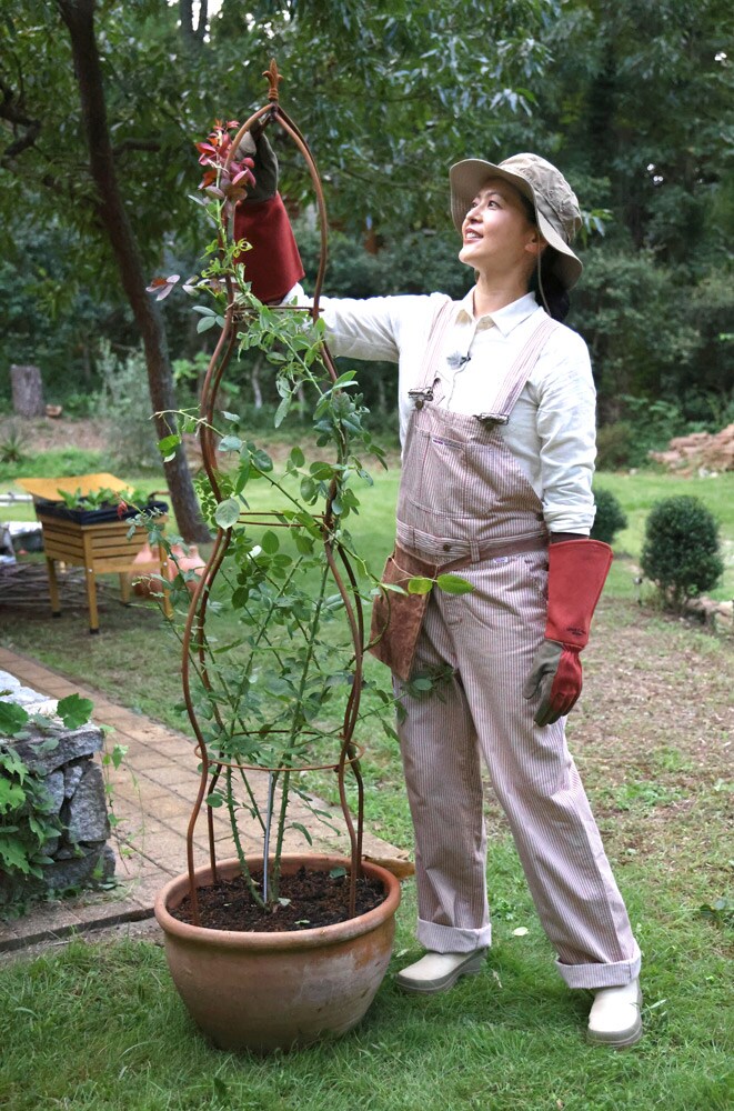 10月11日（土）の『黒谷友香、お庭つくります』放送内容は…