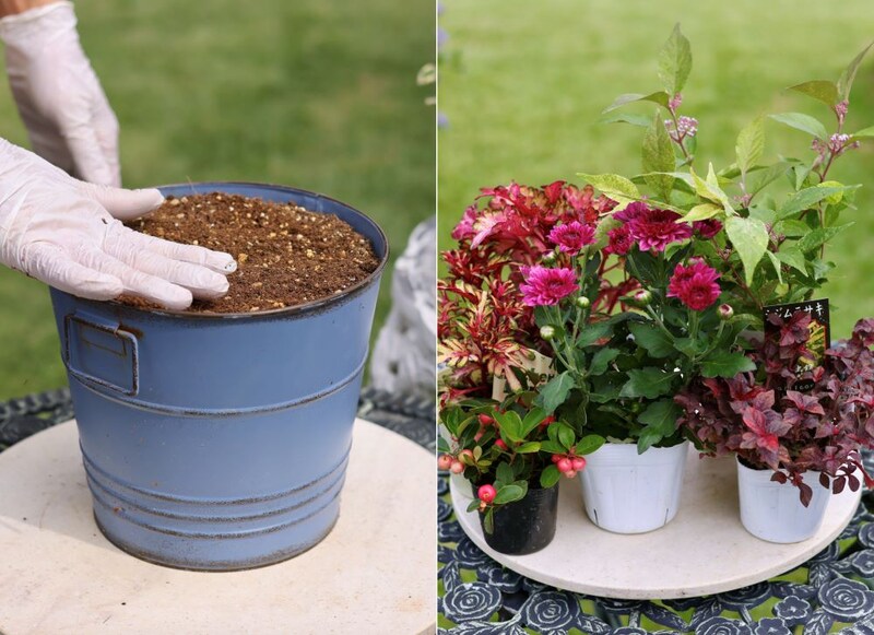 寄せ植えの作り方