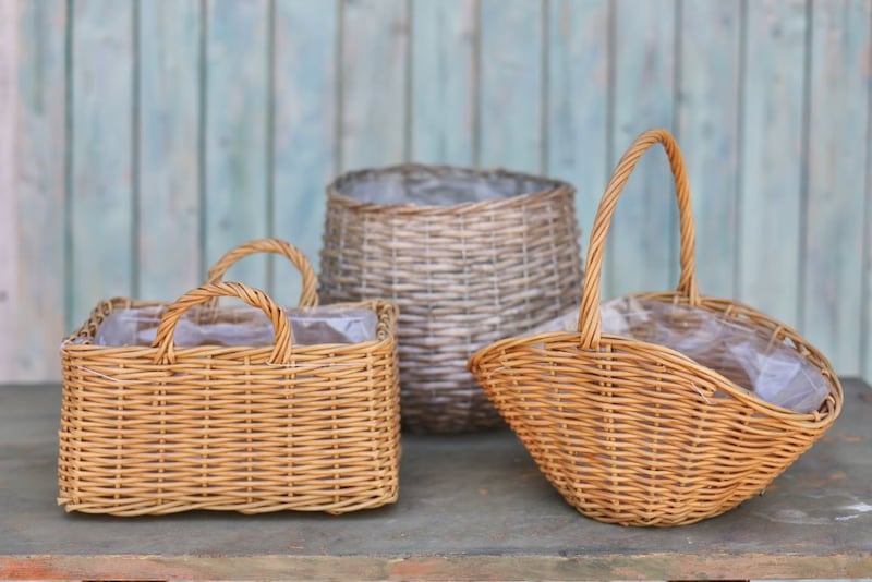 バスケットの鉢