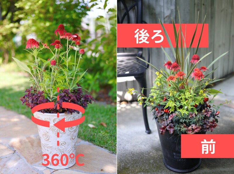 寄せ植えのコツ