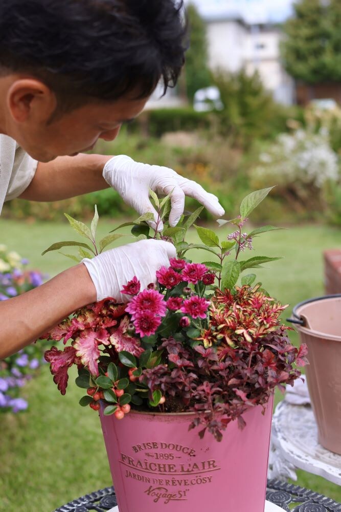 寄せ植えの仕上げ