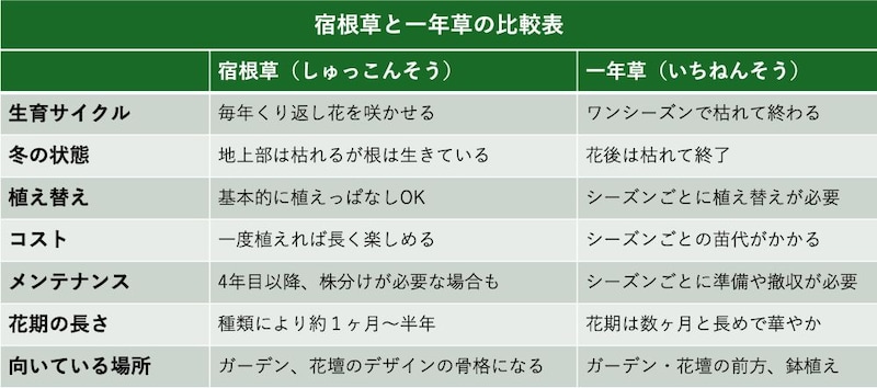 宿根草と一年草