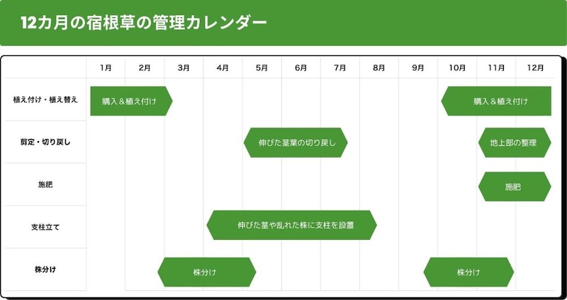 宿根草の手入れ