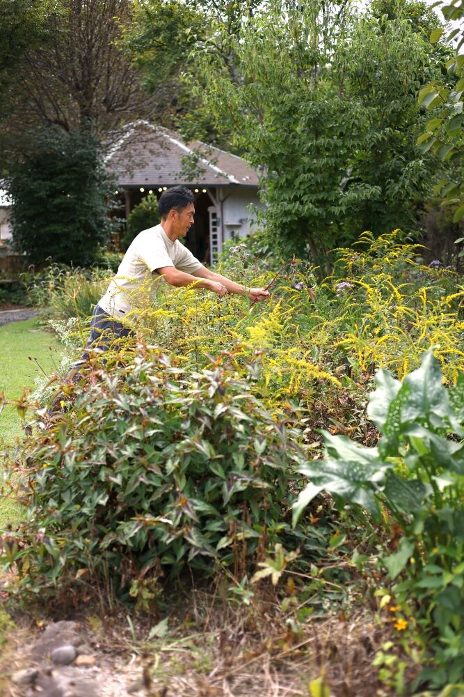 エム・アンド・ビー・フローラの庭