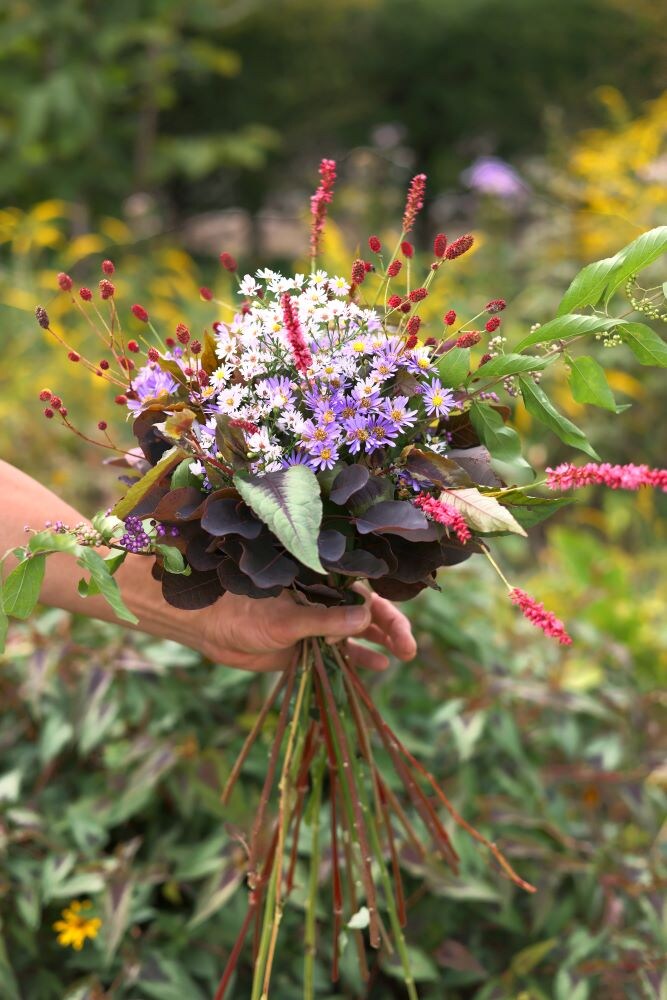 庭の花のブーケ