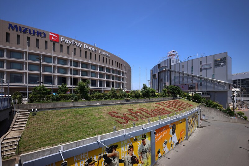 福岡ソフトバンクホークスの「ホークスガーデン」。一人一花パートナー花壇に登録されている。