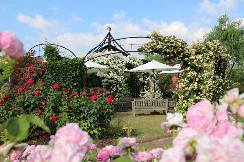 春のみつけイングリッシュガーデン