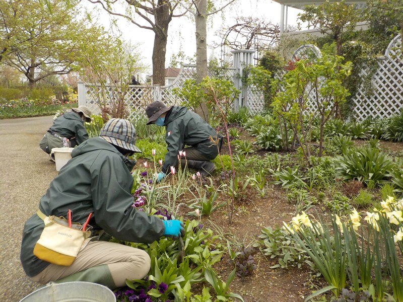 ナチュラルガーデンクラブの皆さんが植栽を担当。