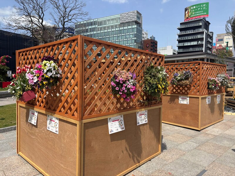ハンギングバスケットコンテストも開催。市民の花の技術も年々向上している。