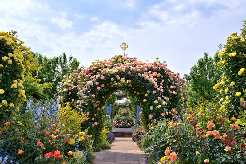 ローズガーデン。7つのセクションに区切られており、それぞれ違った雰囲気を感じることができる。