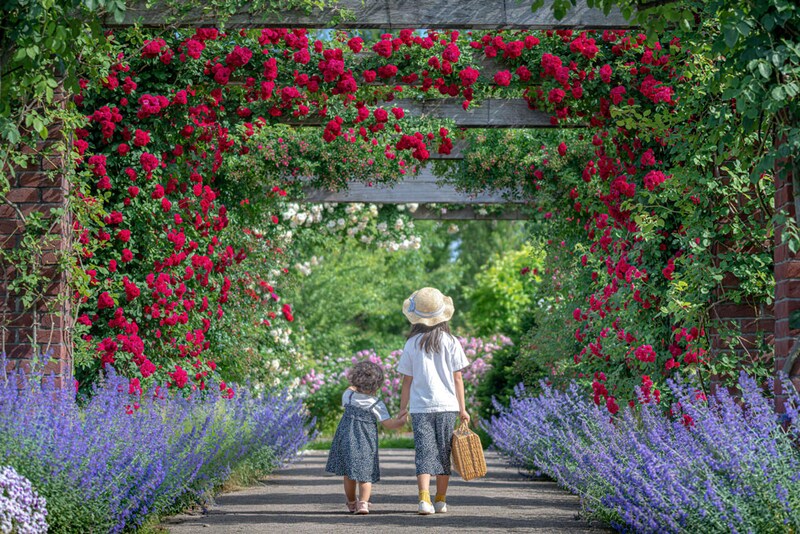 まちづくりを支える花とみどり…みつけイングリッシュガーデン、一人一花運動、中之条ガーデンズの事例 〜園芸・ガーデニング業界最新情報をお届け〜