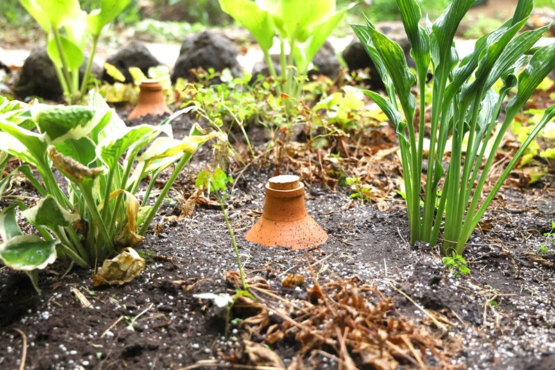 上部7〜8cmが土の上に出るようにポットを埋めて完了!